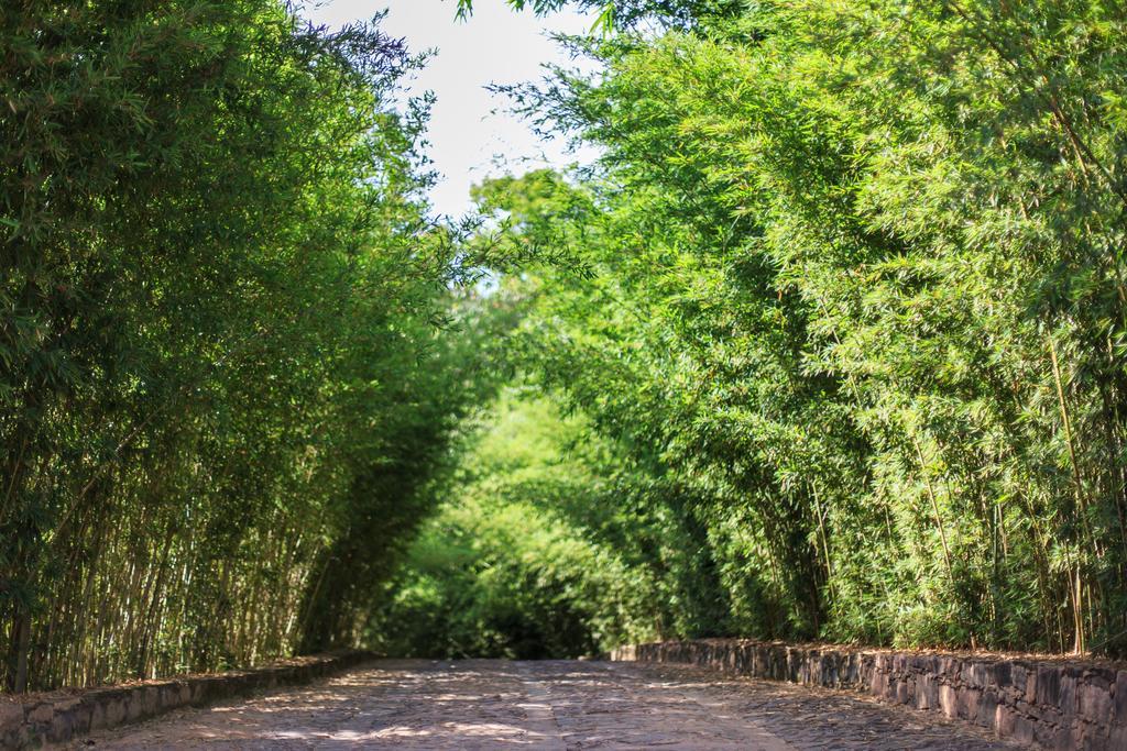 Pousada Bosque Do Lapao Lencois Exteriér fotografie